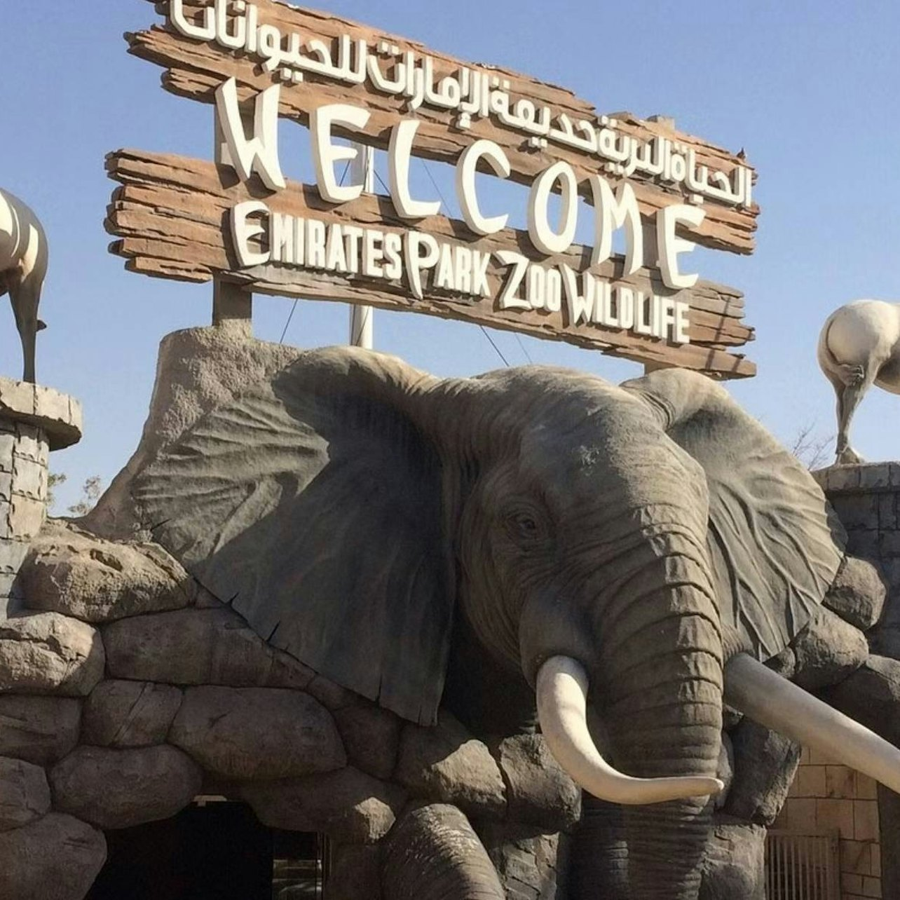 Step into a world of wonder at Emirates Park Zoo where engaging wildlife encounters and beautiful gardens create unforgettable memories for every traveler and animal lover.